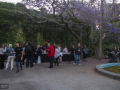 Brindis y cierre de "Anatomía Artística de los Vegetales". Publicación de dibujos Pedro Cracco, libro y exposición de dibujos en Jardín Botánico. 05/12/2019. Jardín Botánco, Montevideo, Uy. Foto: Florencia Martnez Parodi, SMA, FADU.