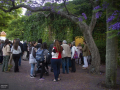 Brindis y cierre de "Anatomía Artística de los Vegetales". Publicación de dibujos Pedro Cracco, libro y exposición de dibujos en Jardín Botánico. 05/12/2019. Jardín Botánco, Montevideo, Uy. Foto: Florencia Martnez Parodi, SMA, FADU.